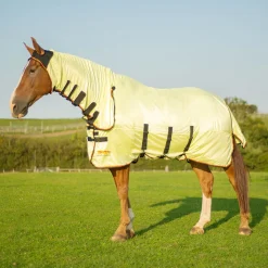 Equilibrium Field Relief Fly Rug