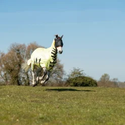Equilibrium Field Relief Fly Rug