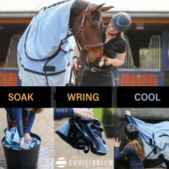 Equilibrium Quick Chill Cool Rug with Detachable Neck