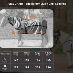 Equilibrium Quick Chill Cool Rug with Detachable Neck