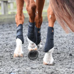 Equilibrium Stretch and Flex Flatwork Wraps