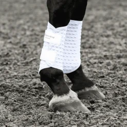 Equilibrium Stretch and Flex Flatwork Wraps