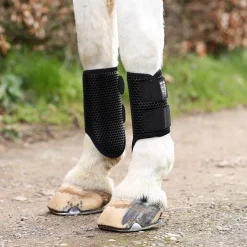 Equilibrium Tri Zone Brushing Boots