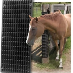 Equine Scratcher