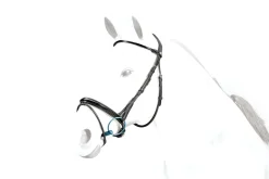 Equipe BR40 Flash Strap