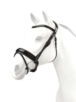 Equipe Browband for BR64