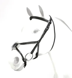Equipe Emporio Figure 8 Padded Bridle with Brass Fittings - No Reins
