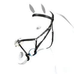 Equipe Emporio Grackle Bridle with Silver Fittings