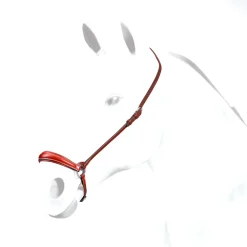 Equipe Plain Hannoverian Noseband