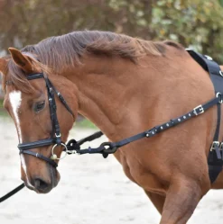 Equi-Sential Breaking Set