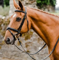 Equi-Sential Bridle with Reins