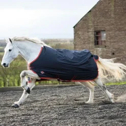 Equi-Sential Standard 200g Medium Turnout Rug