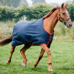 Equi-Sential Standard 200g Medium Turnout Rug