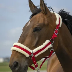 Equitheme Nylon Mouton Headcollar