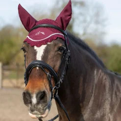 Gallop Classic Fly Veil