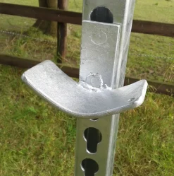 Galvanised Jump Cups Pole Type