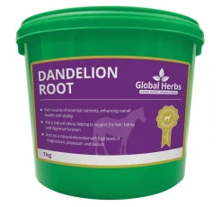 Global Herbs Dandelion Root