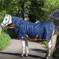 GS Equestrian Combo Neck 200g Turnout Rug