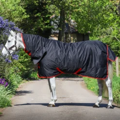 GS Equestrian Combo Neck 200g Turnout Rug