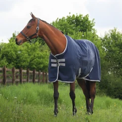 GS Equestrian 600D Waterproof Turnout Rug 100g