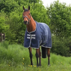GS Equestrian 600D Waterproof Turnout Rug 100g