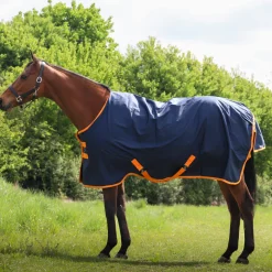 GS Equestrian 600D Waterproof Turnout Rug 100g