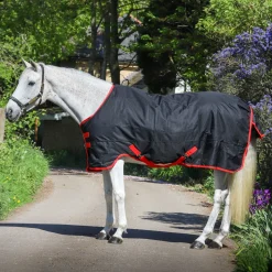 GS Equestrian 600D Waterproof Turnout Rug 100g