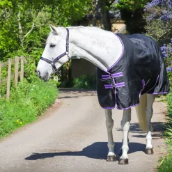 GS Equestrian 600D Waterproof Turnout Rug 100g