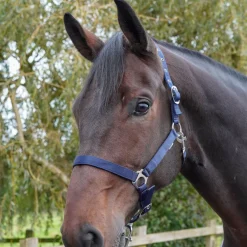 GS Equestrian Economy Head Collar