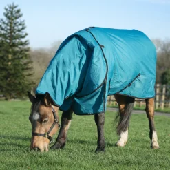 GS Equestrian 100g Detachable Neck Turnout Rug