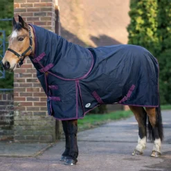 GS Equestrian 100g Detachable Neck Turnout Rug