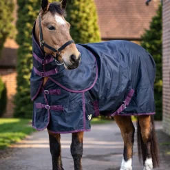 GS Equestrian 100g Detachable Neck Turnout Rug
