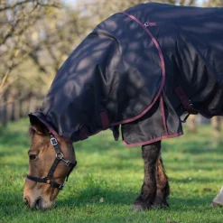 GS Equestrian 100g Detachable Neck Turnout Rug