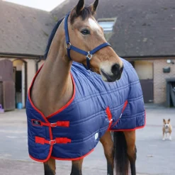 GS Equestrian 250g Stable Rug