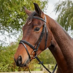 GS Equestrian Padded Flash Bridle