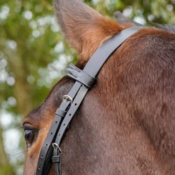 GS Equestrian Padded Flash Bridle