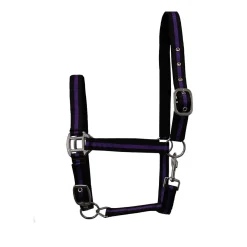 GS Equestrian Padded Head Collar