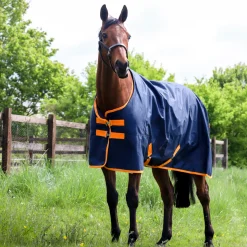 GS Equestrian Standard Neck 200g Turnout Rug
