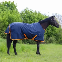 GS Equestrian Standard Neck 200g Turnout Rug