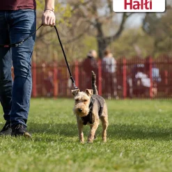 HALTI No Pull Harness