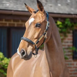 Henry James Comfort 3D Air Headcollar