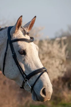 Henry James Comfort Flash Bridle