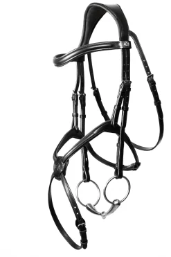 Henry James Grackle Bridle