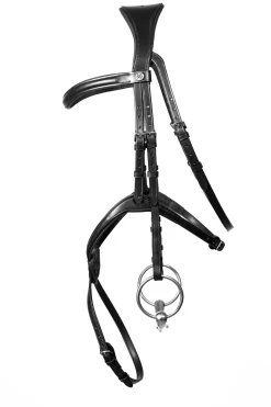 Henry James Grackle Bridle