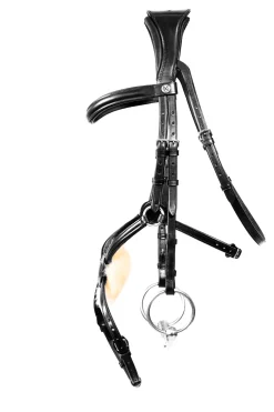 Henry James Mexican Grackle Bridle