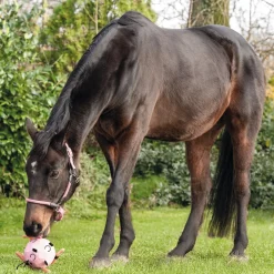 HKM Toy For Horses -Fun-