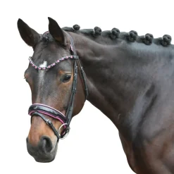 HKM Bridle -Manchester-