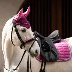 HKM Bridle -Manchester-