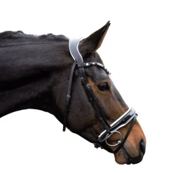 HKM Bridle -Manchester-