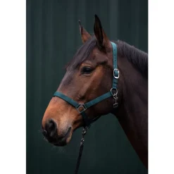 HKM Brisbane Halter